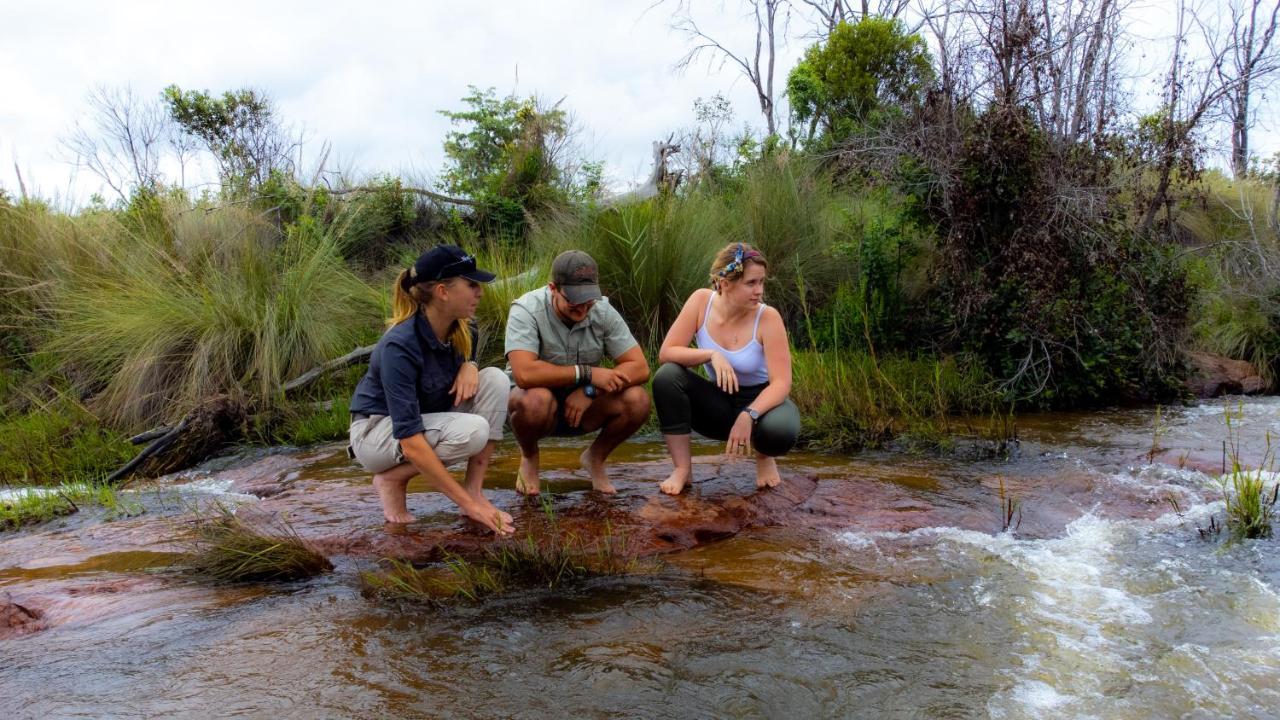 Nungubane Game Lodge Welgevonden Wildreservaat Buitenkant foto