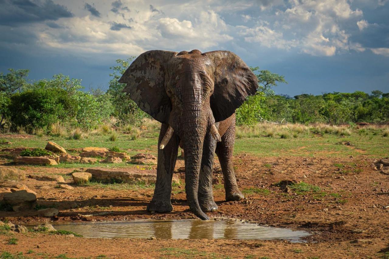 Nungubane Game Lodge Welgevonden Wildreservaat Buitenkant foto